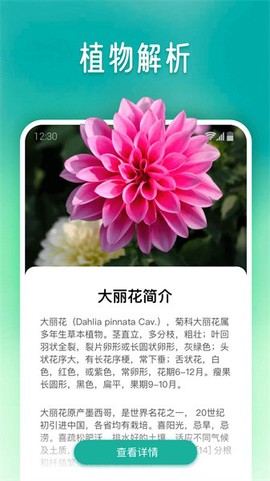 植物大师截图3