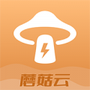 蘑菇云手机最新版