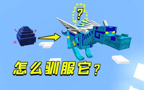 我的世界的龙蛋怎么孵化