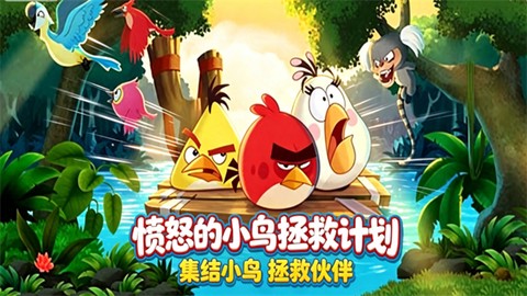 愤怒的小鸟：拯救计划[图1]