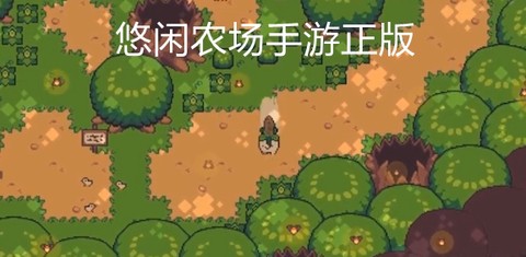 悠闲农场[图1]