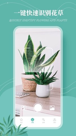 花草录[图1]
