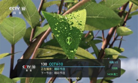 全球直播截图2