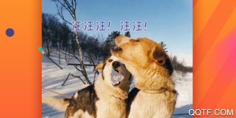 字幕君[图1]