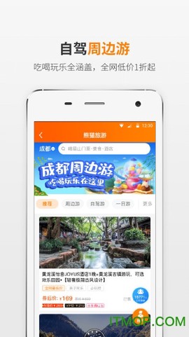 熊猫驾信[图1]