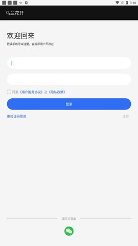 马兰花开截图3