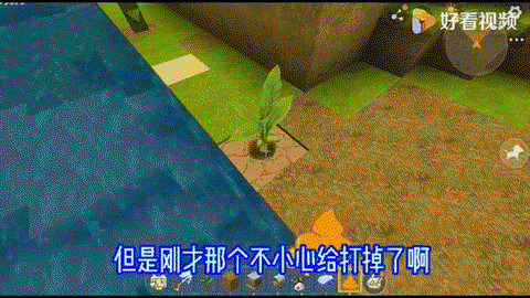 迷你世界什么是香蕉树[图1]