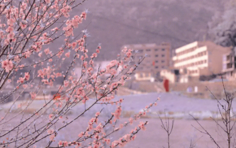 花样相机截图3