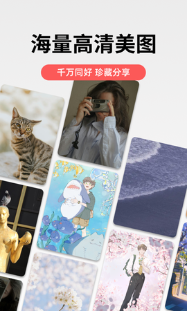 堆糖app截图1