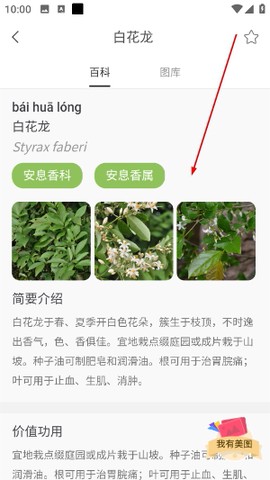 花伴侣[图4]
