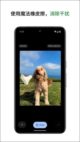 google相册截图2