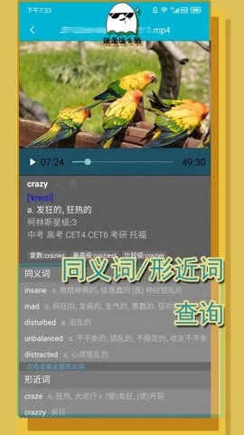 单词播放器截图2