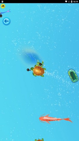 进击的蝌蚪[图2]