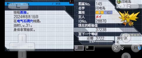 口袋妖怪黑版截图2