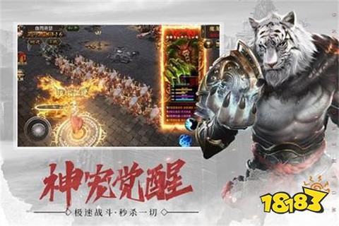 屠龙传奇截图3