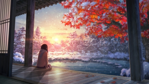 壁纸君[图3]