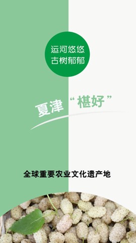 爱夏津[图1]