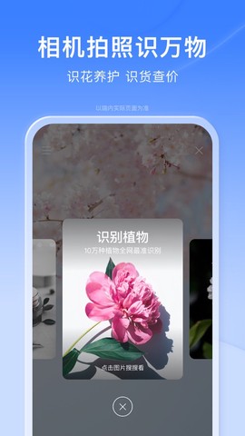 百度关怀版截图1