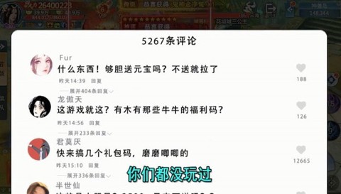 一花一剑截图3