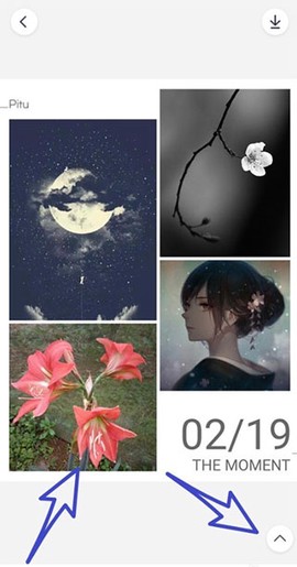 天天P图[图4]