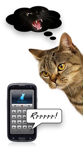 人猫交流器纯净版截图2
