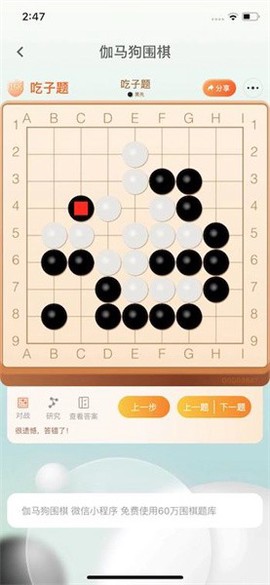 伽马狗围棋[图1]