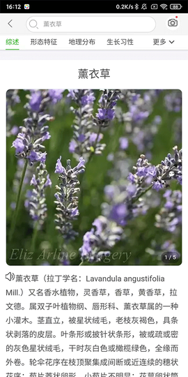万物志[图3]