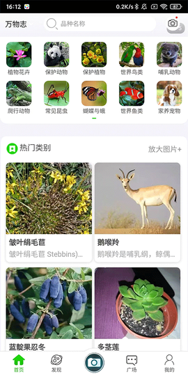 万物志[图4]