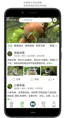 万物志截图2