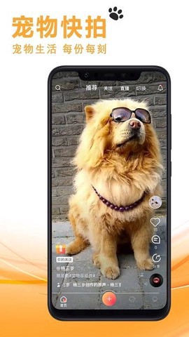 宠友社交截图1