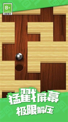 弹珠迷宫[图1]