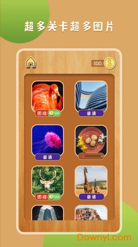王者拼图2截图3