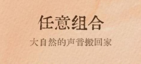 软眠眠[图1]
