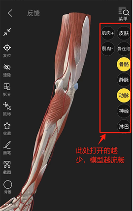 3dbody解剖app[图9]