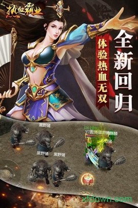 热血霸业截图3