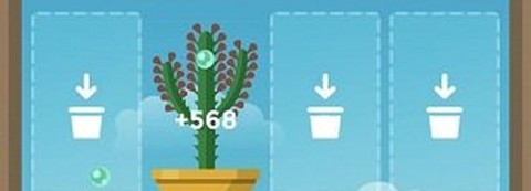 梦幻植物园[图1]