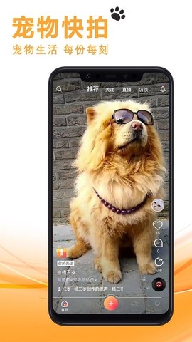 宠友社交[图1]