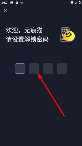 无痕猫[图1]