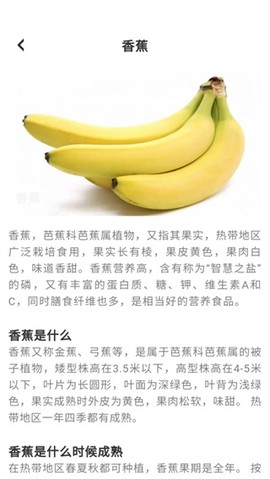趣点美食截图3