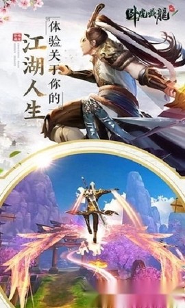卧虎藏龙贰[图3]