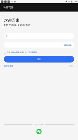 马兰花开截图2