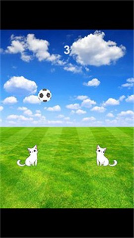 元气猫咪截图1