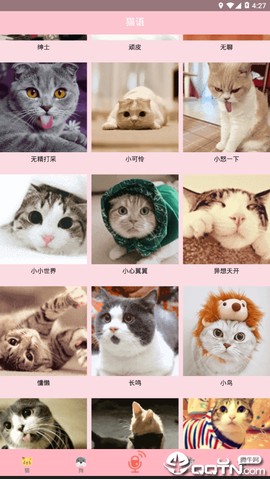 人猫交流器免费版截图1