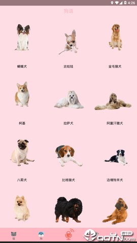 人猫交流器免费版截图2
