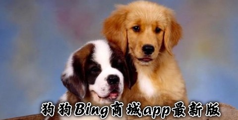 狗狗Bing商城[图1]