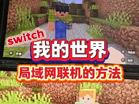 我的世界局域网是什么