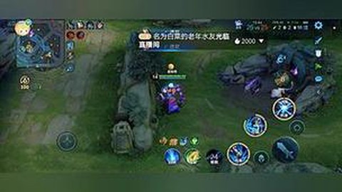王者荣耀qy什么意思