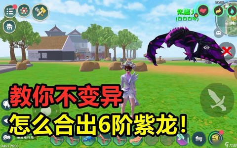 魔域紫翼皇龙怎么合