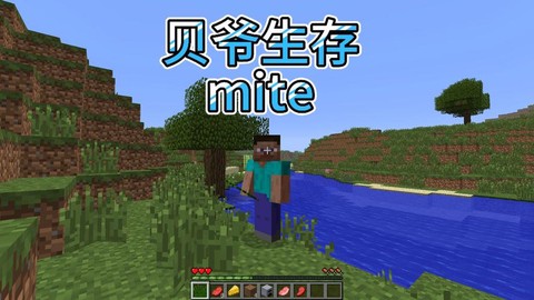 我的世界生存该怎么玩[图2]