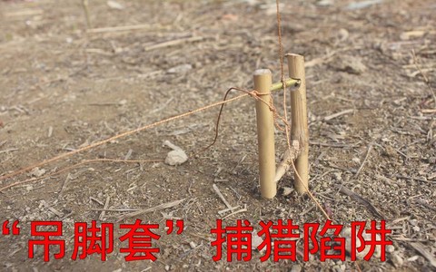 怪物猎人世界陷阱怎么做